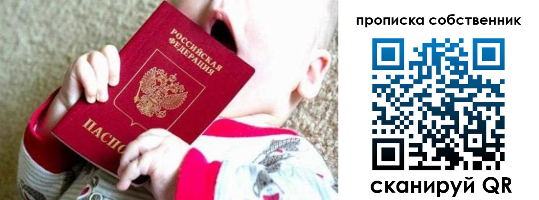 прописка для школы в Плавске